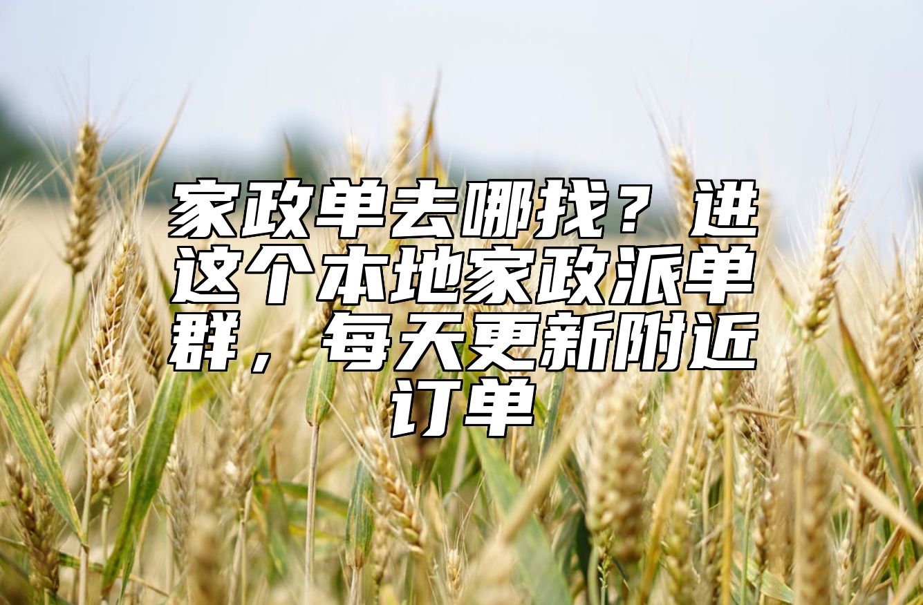 家政单去哪找？进这个本地家政派单群，每天更新附近订单 