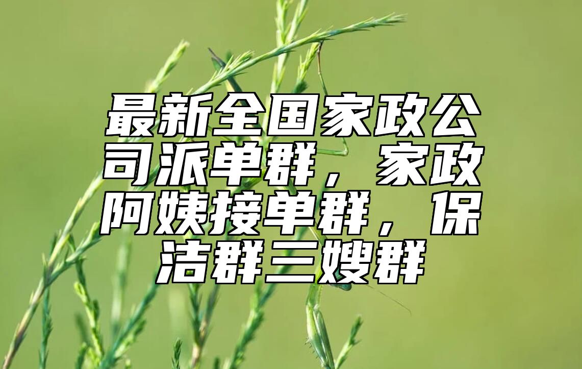最新全国家政公司派单群，家政阿姨接单群，保洁群三嫂群