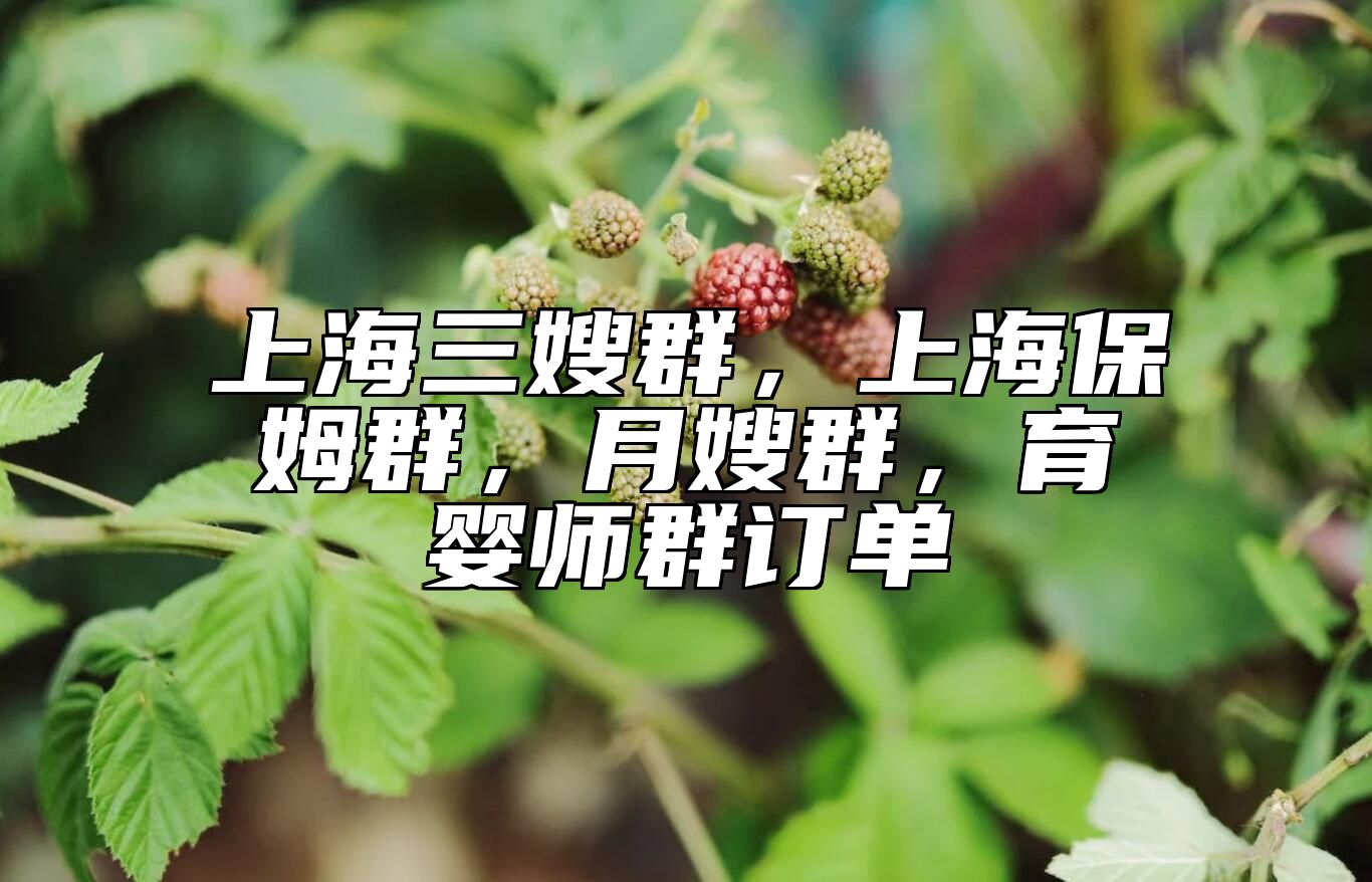 上海三嫂群，上海保姆群，月嫂群，育婴师群订单 