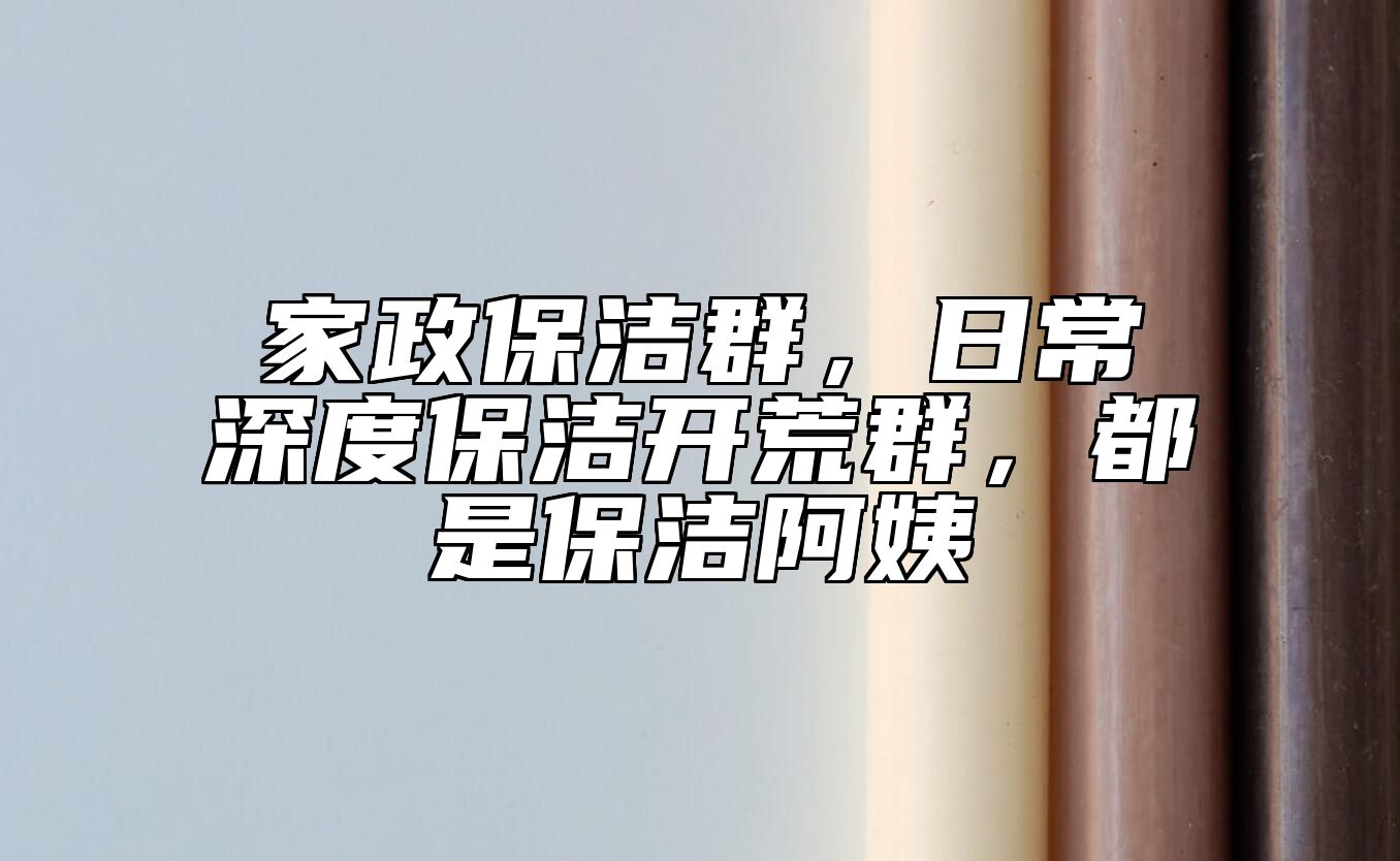 家政保洁群，日常深度保洁开荒群，都是保洁阿姨