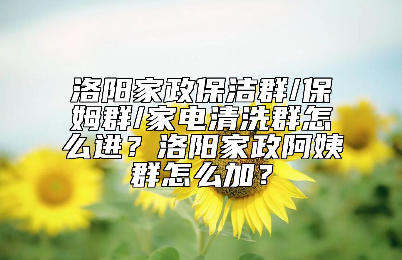 洛阳家政保洁群/保姆群/家电清洗群怎么进？洛阳家政阿姨群怎么加？