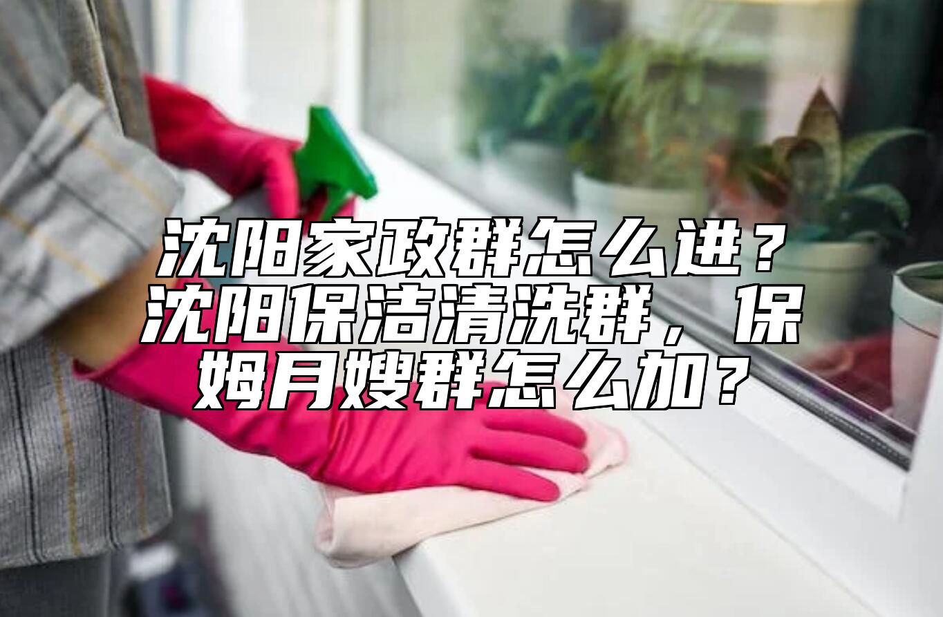 沈阳家政群怎么进？沈阳保洁清洗群，保姆月嫂群怎么加？