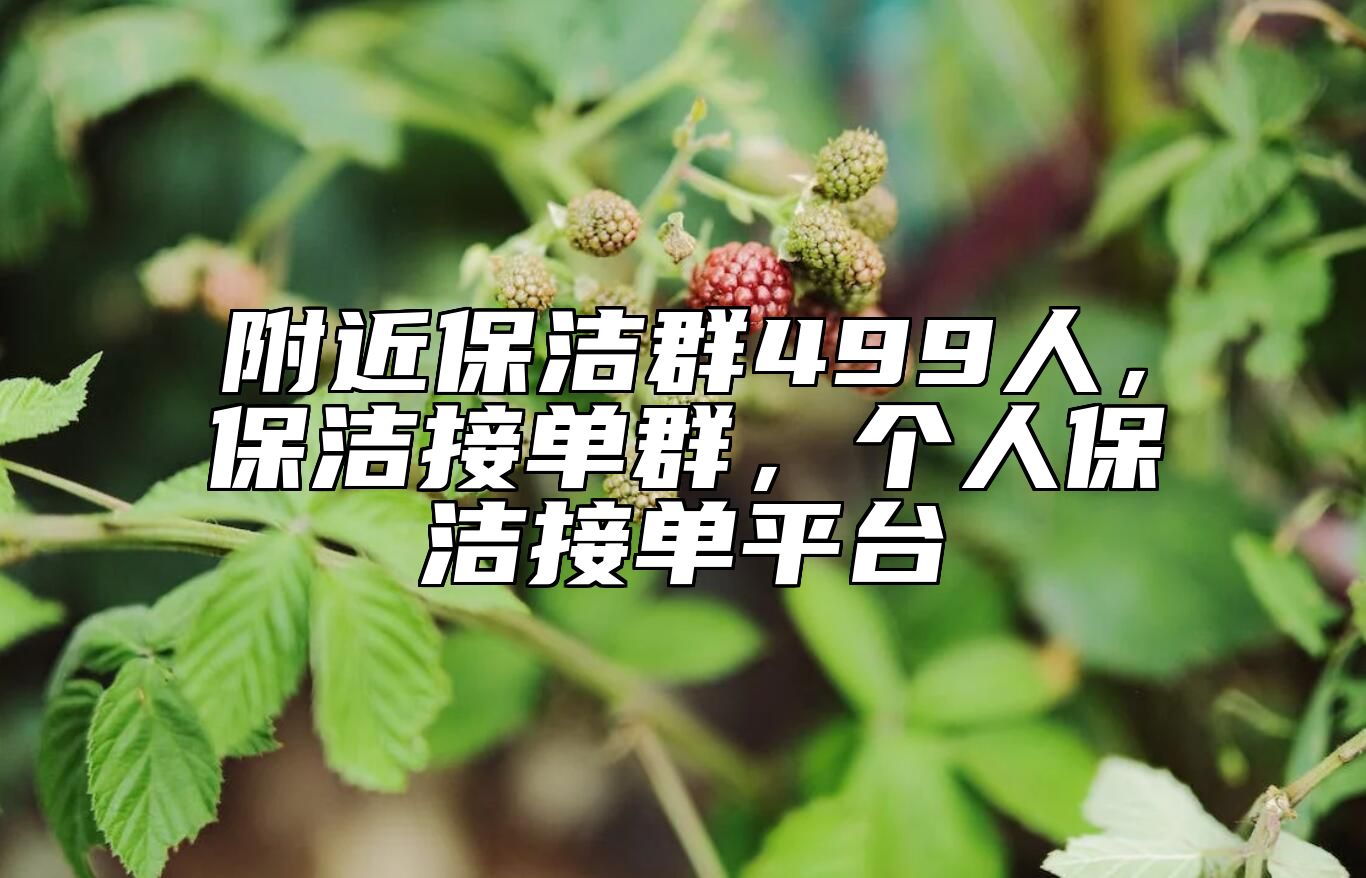 附近保洁群499人，保洁接单群，个人保洁接单平台