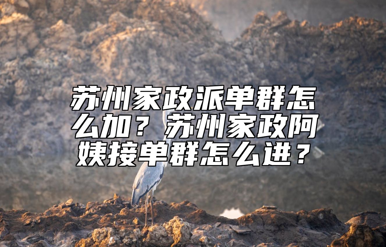 苏州家政派单群怎么加？苏州家政阿姨接单群怎么进？