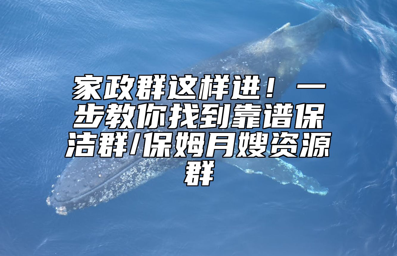 家政群这样进！一步教你找到靠谱保洁群/保姆月嫂资源群 