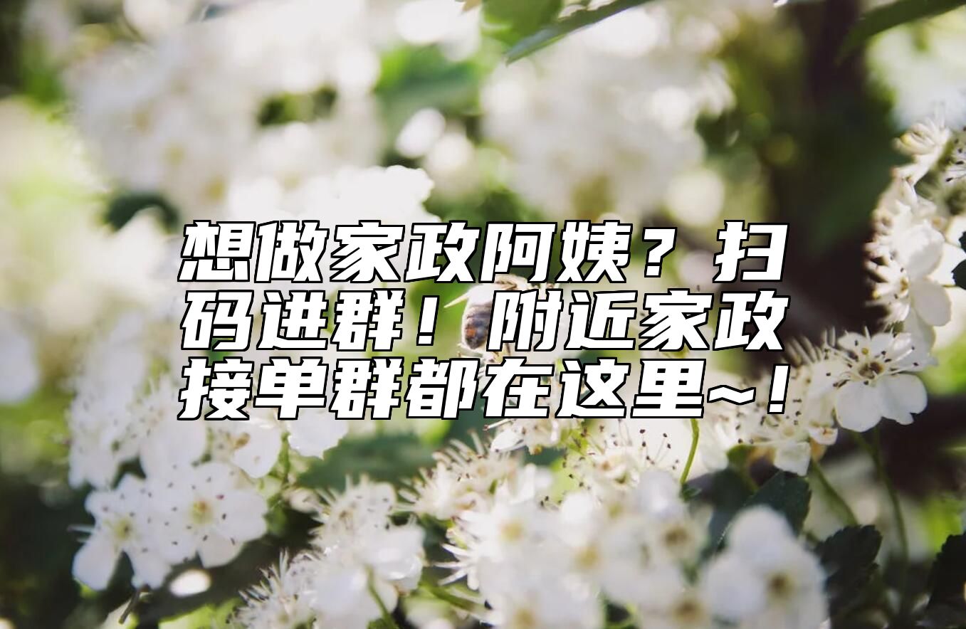 想做家政阿姨？扫码进群！附近家政接单群都在这里~！