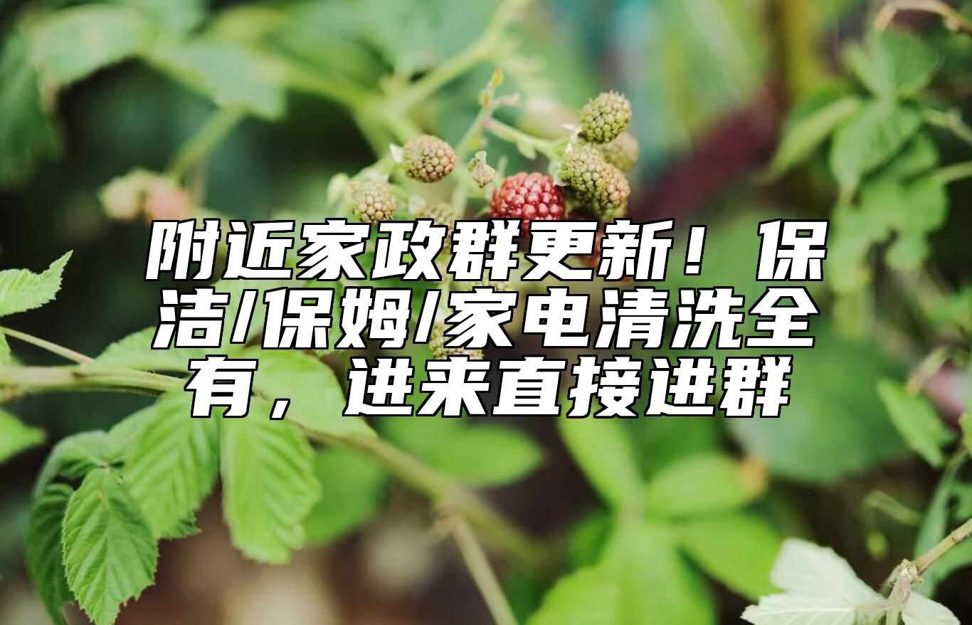 附近家政群更新！保洁/保姆/家电清洗全有，进来直接进群