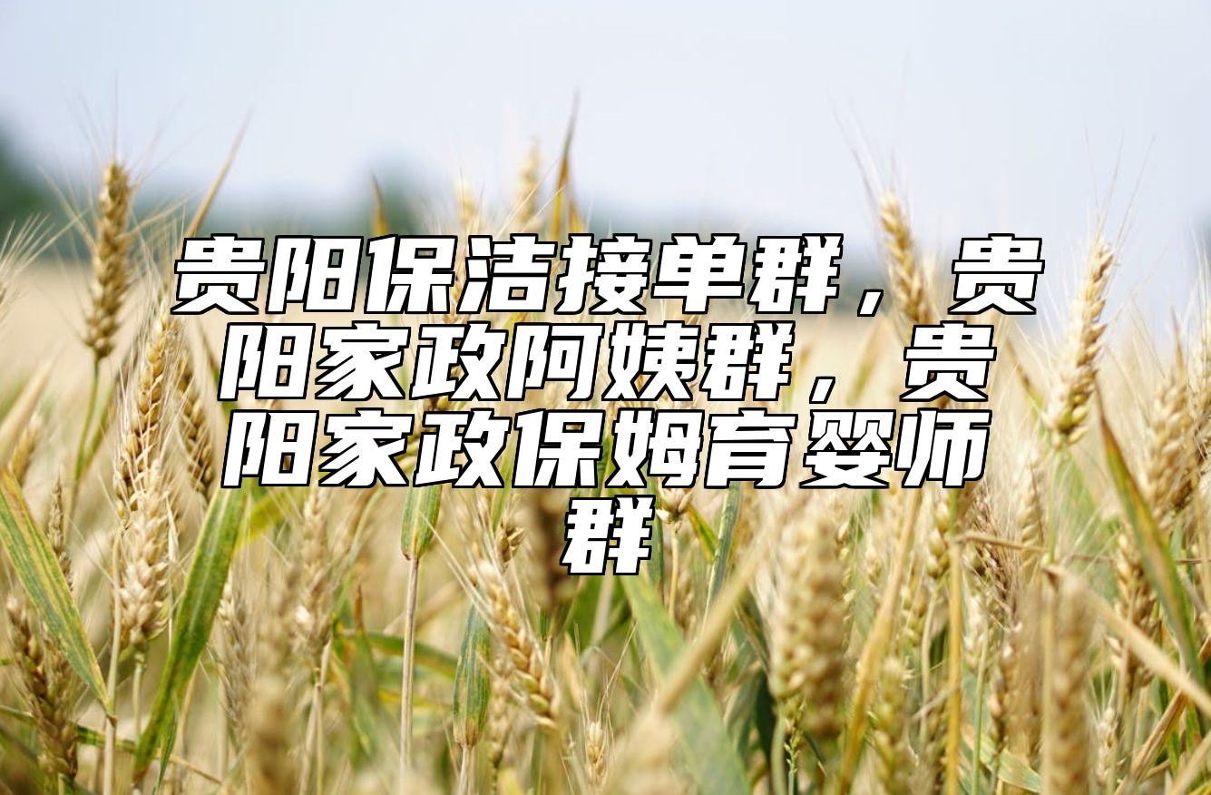 贵阳保洁接单群，贵阳家政阿姨群，贵阳家政保姆育婴师群 