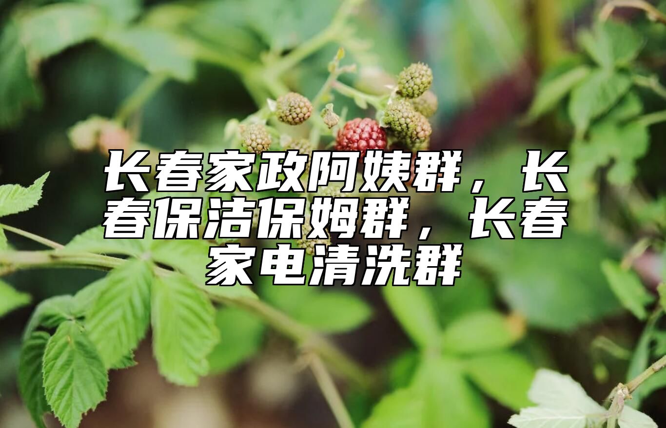 长春家政阿姨群，长春保洁保姆群，长春家电清洗群 
