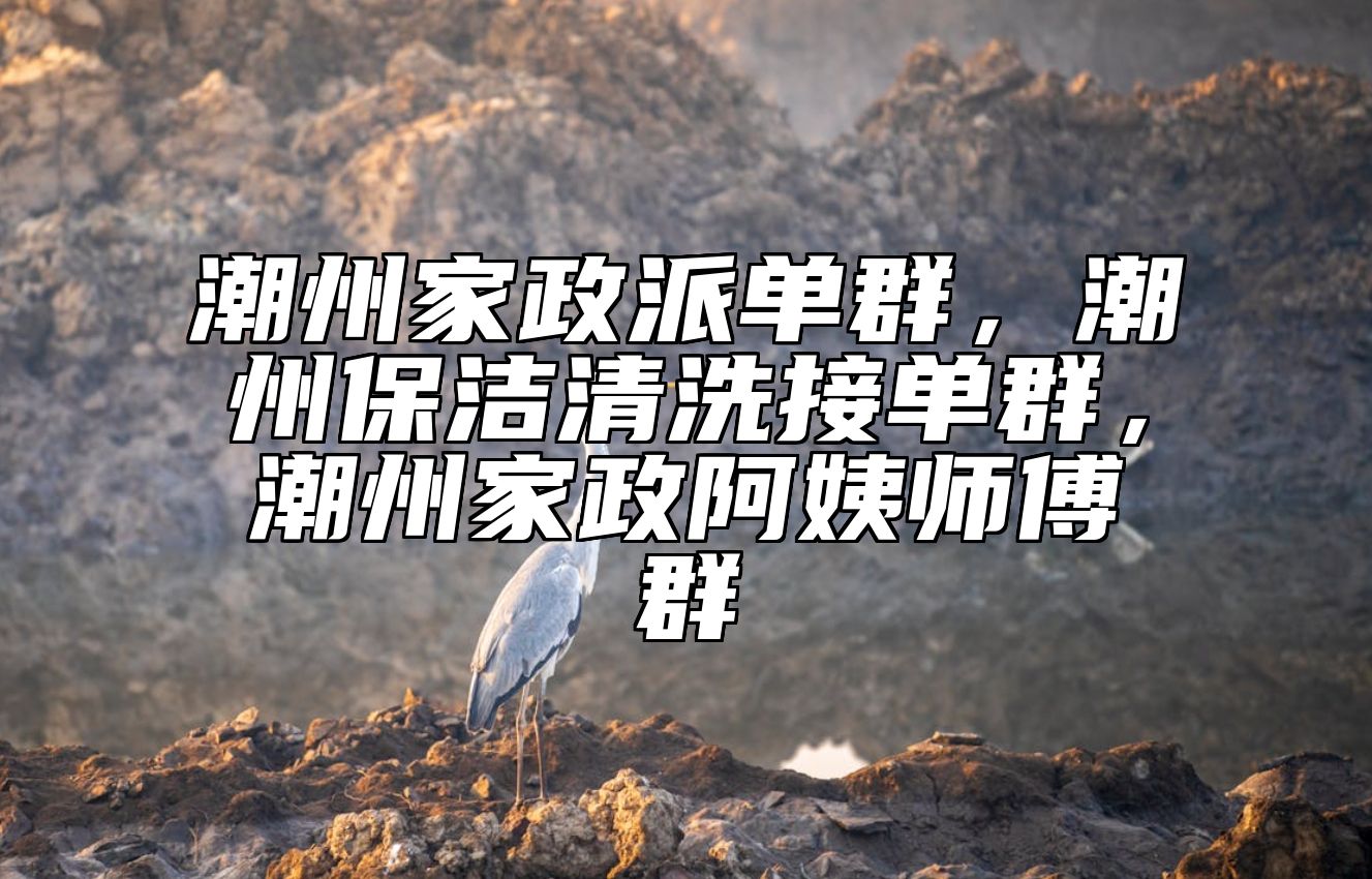 潮州家政派单群，潮州保洁清洗接单群，潮州家政阿姨师傅群