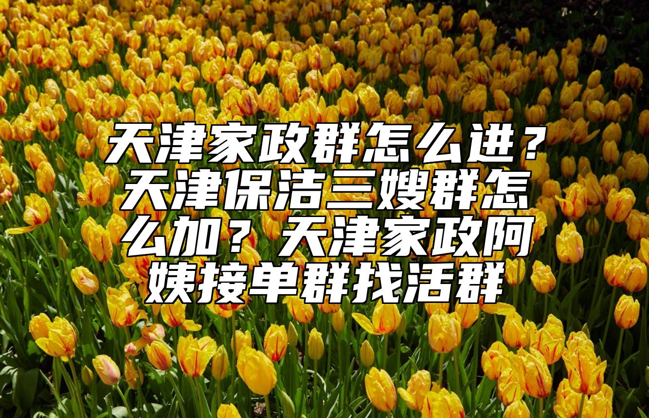 天津家政群怎么进？天津保洁三嫂群怎么加？天津家政阿姨接单群找活群 