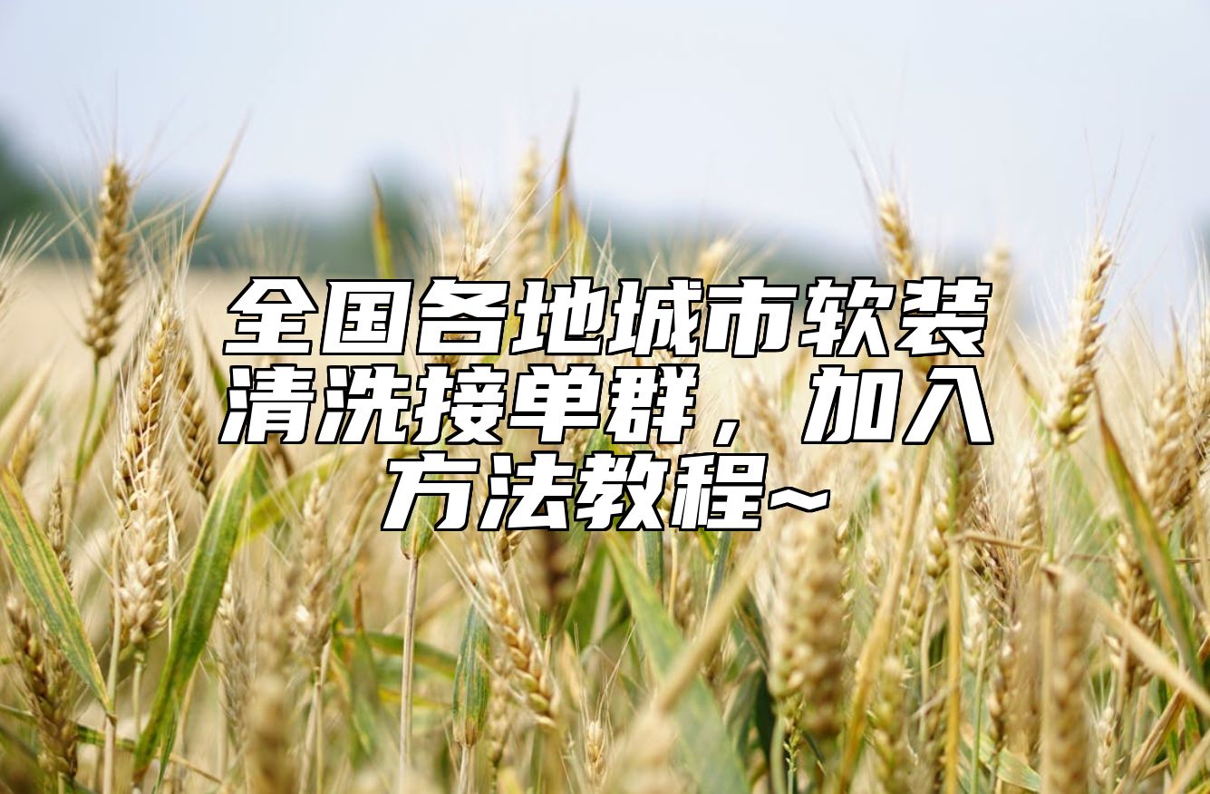 全国各地城市软装清洗接单群，加入方法教程~ 