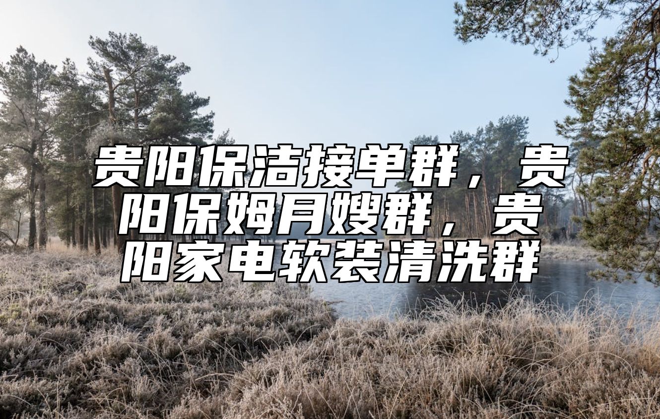 贵阳保洁接单群，贵阳保姆月嫂群，贵阳家电软装清洗群 