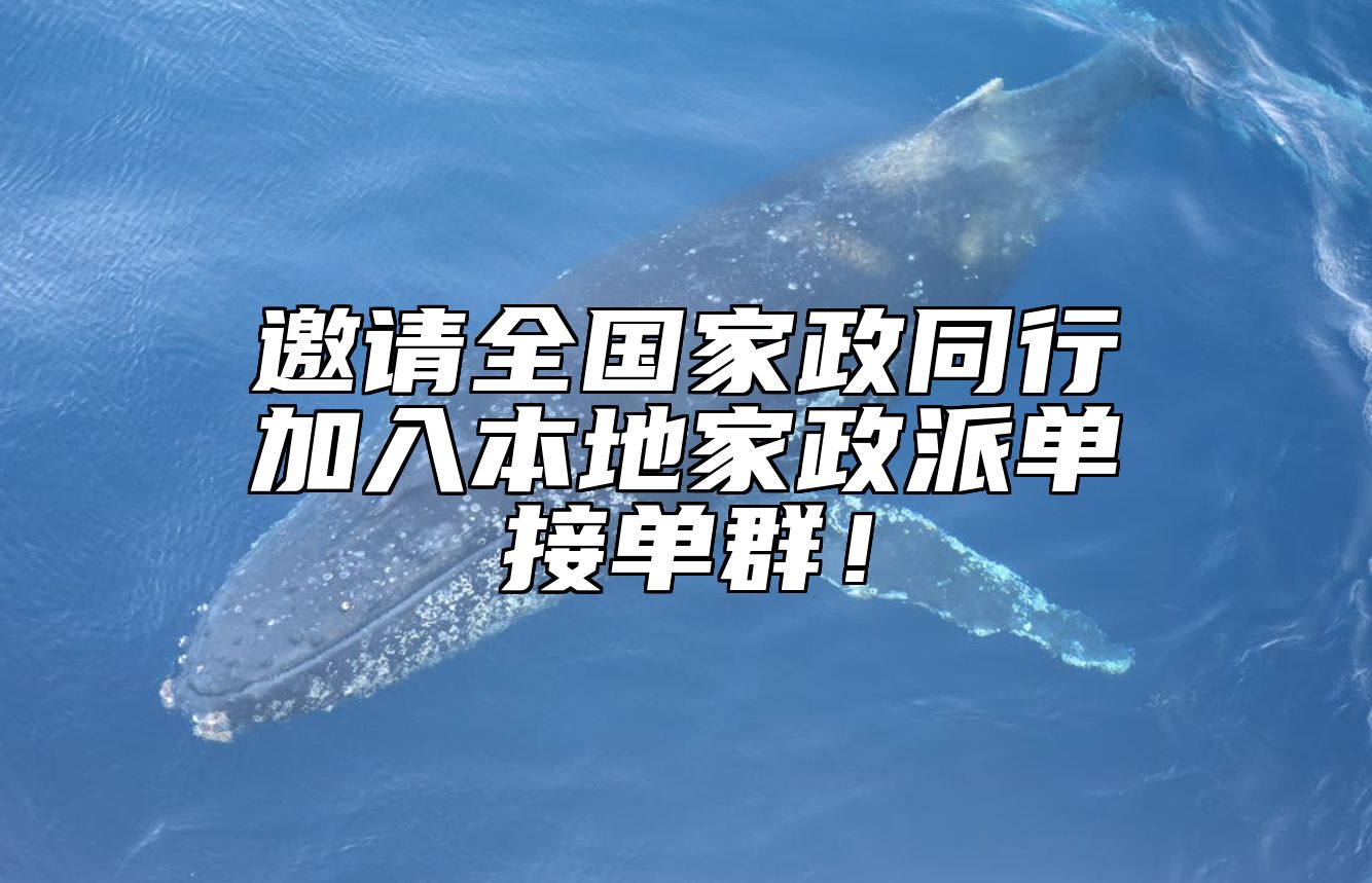 邀请全国家政同行加入本地家政派单接单群！