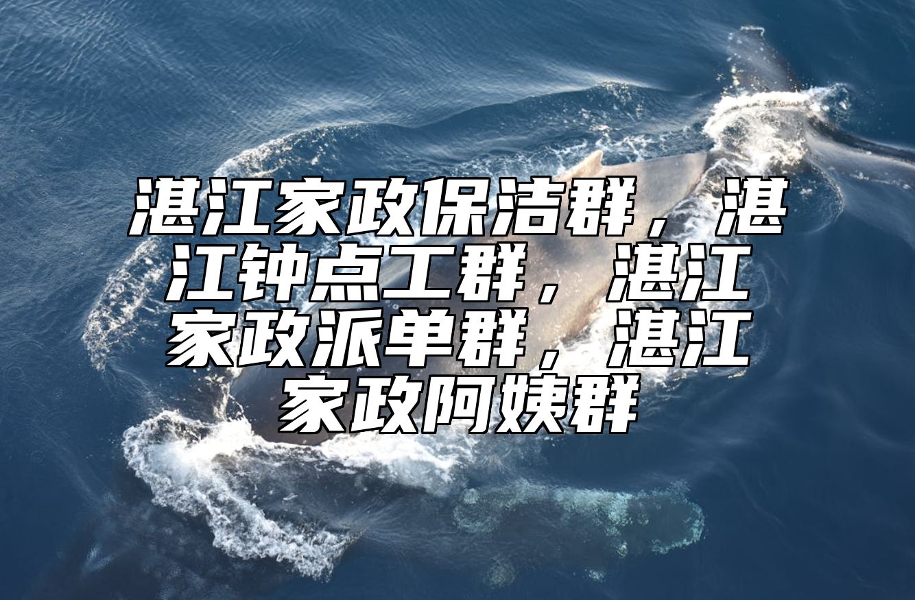 湛江家政保洁群，湛江钟点工群，湛江家政派单群，湛江家政阿姨群