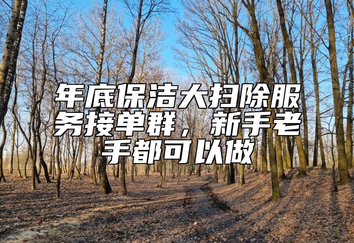 年底保洁大扫除服务接单群，新手老手都可以做 