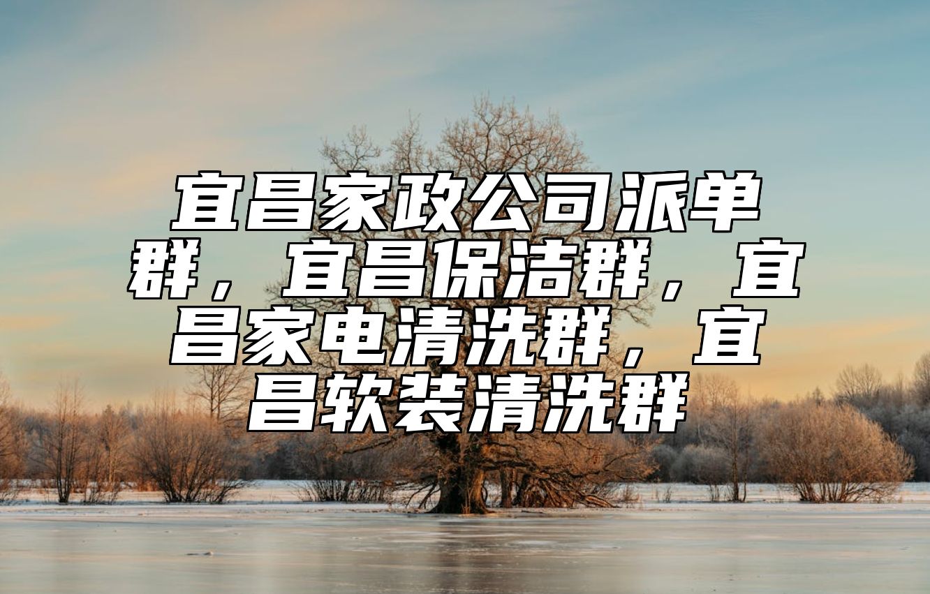 宜昌家政公司派单群，宜昌保洁群，宜昌家电清洗群，宜昌软装清洗群 