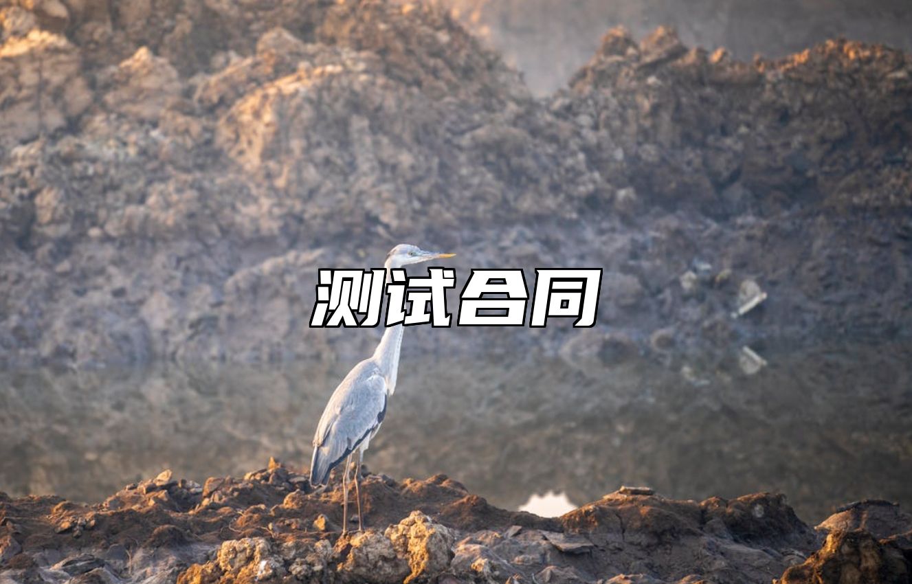 测试合同