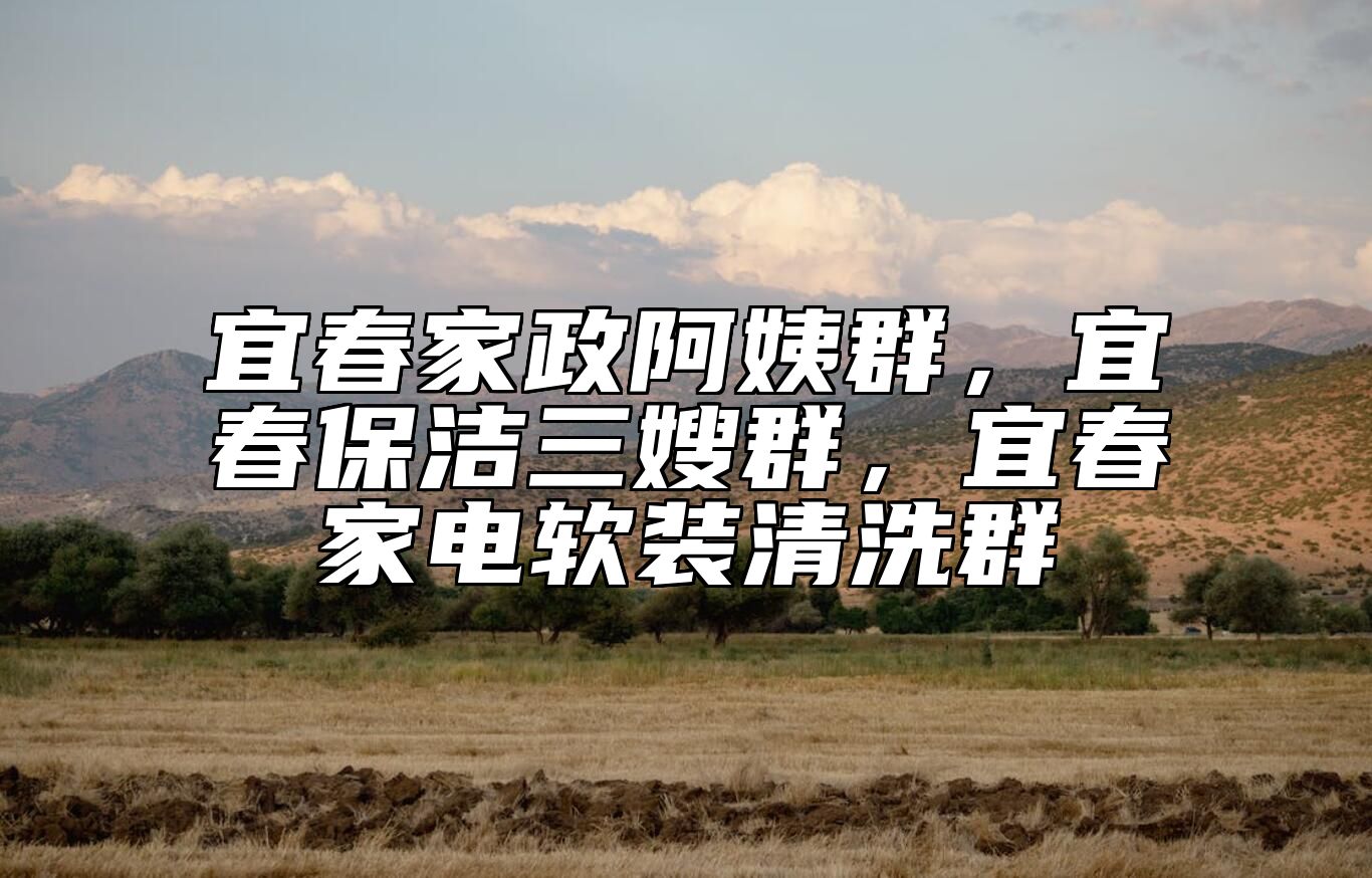 宜春家政阿姨群，宜春保洁三嫂群，宜春家电软装清洗群 