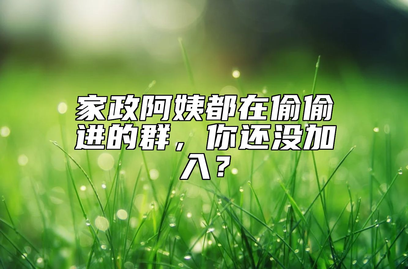 家政阿姨都在偷偷进的群，你还没加入？ 