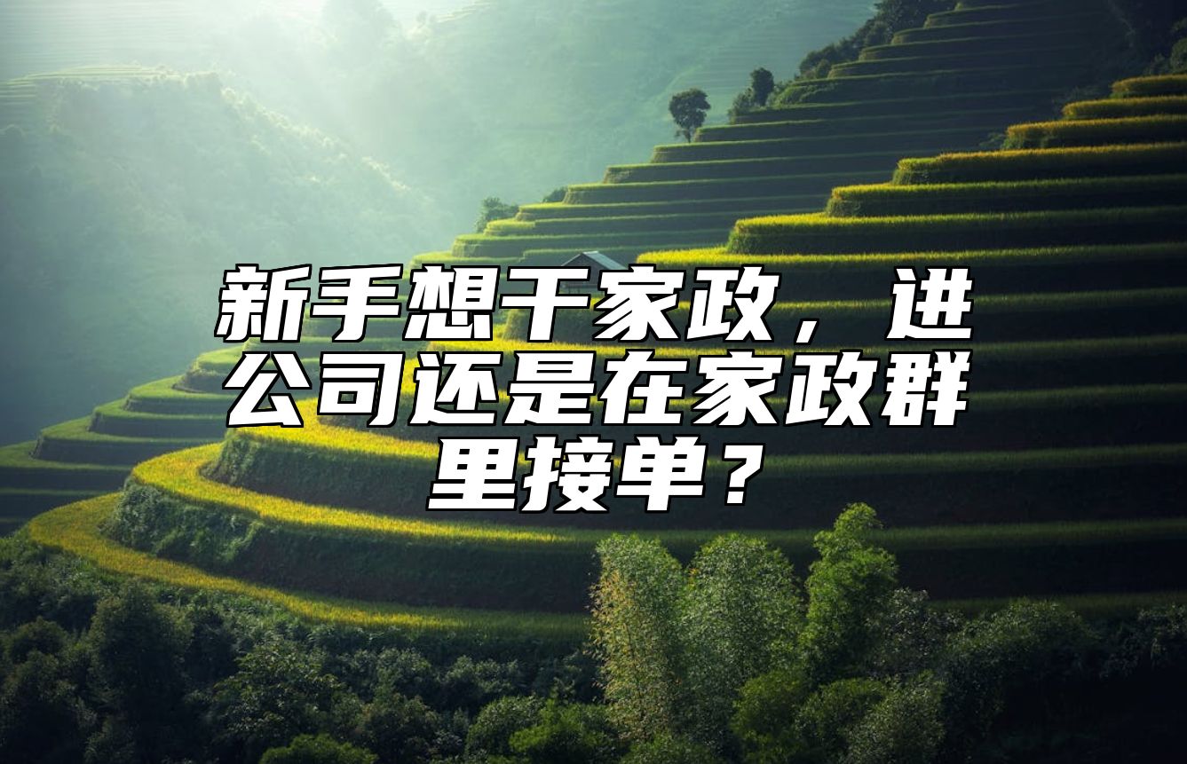 新手想干家政，进公司还是在家政群里接单？ 