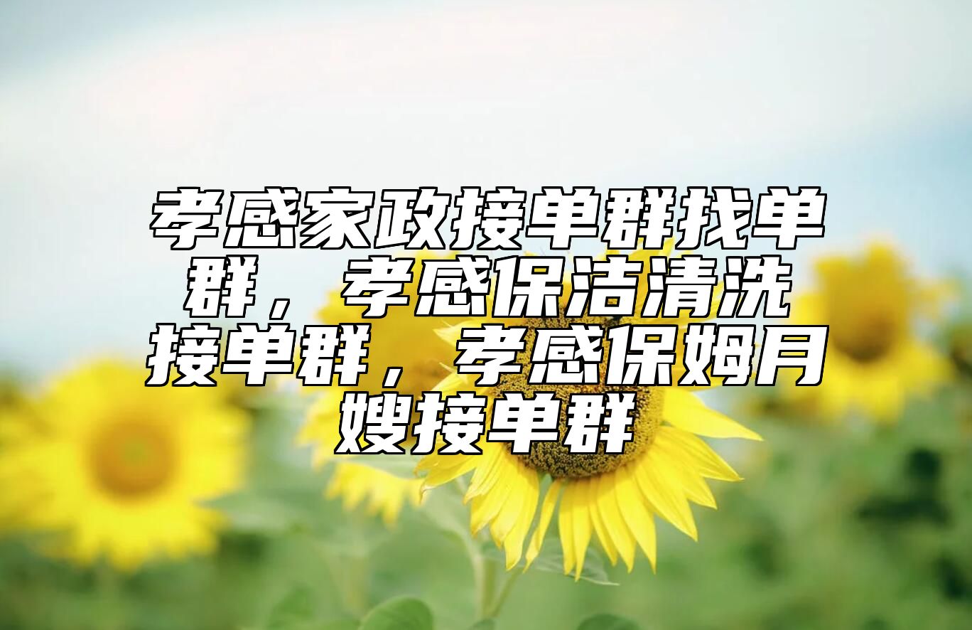 孝感家政接单群找单群，孝感保洁清洗接单群，孝感保姆月嫂接单群 