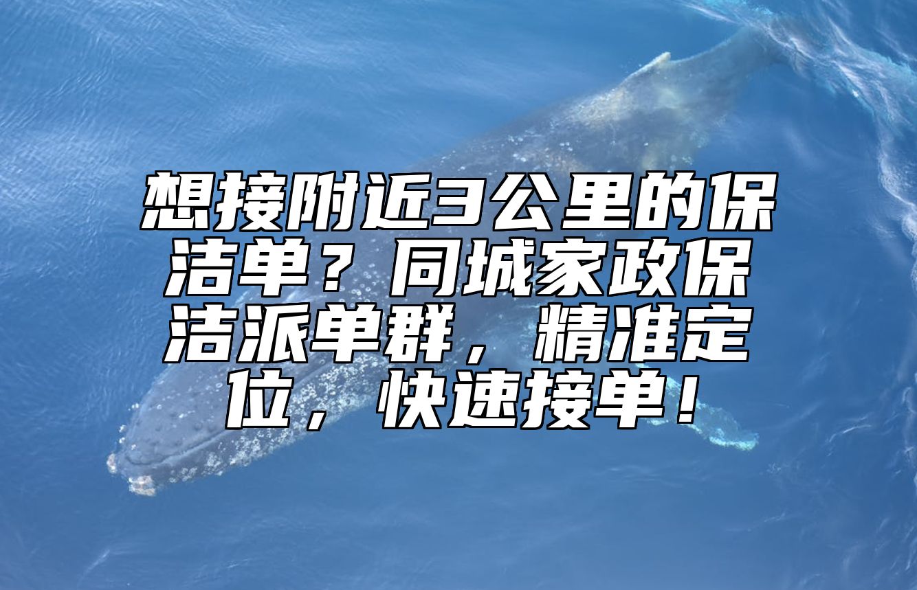 想接附近3公里的保洁单？同城家政保洁派单群，精准定位，快速接单！ 